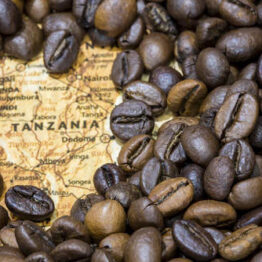 Tanzania Coffee